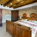 Paun Case de vacanță