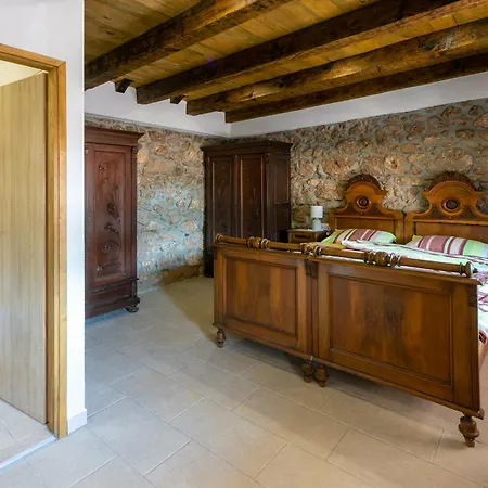 Paun Bribir (Primorje-Gorski Kotar)