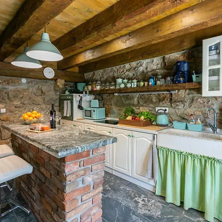 Paun Bribir (Primorje-Gorski Kotar)